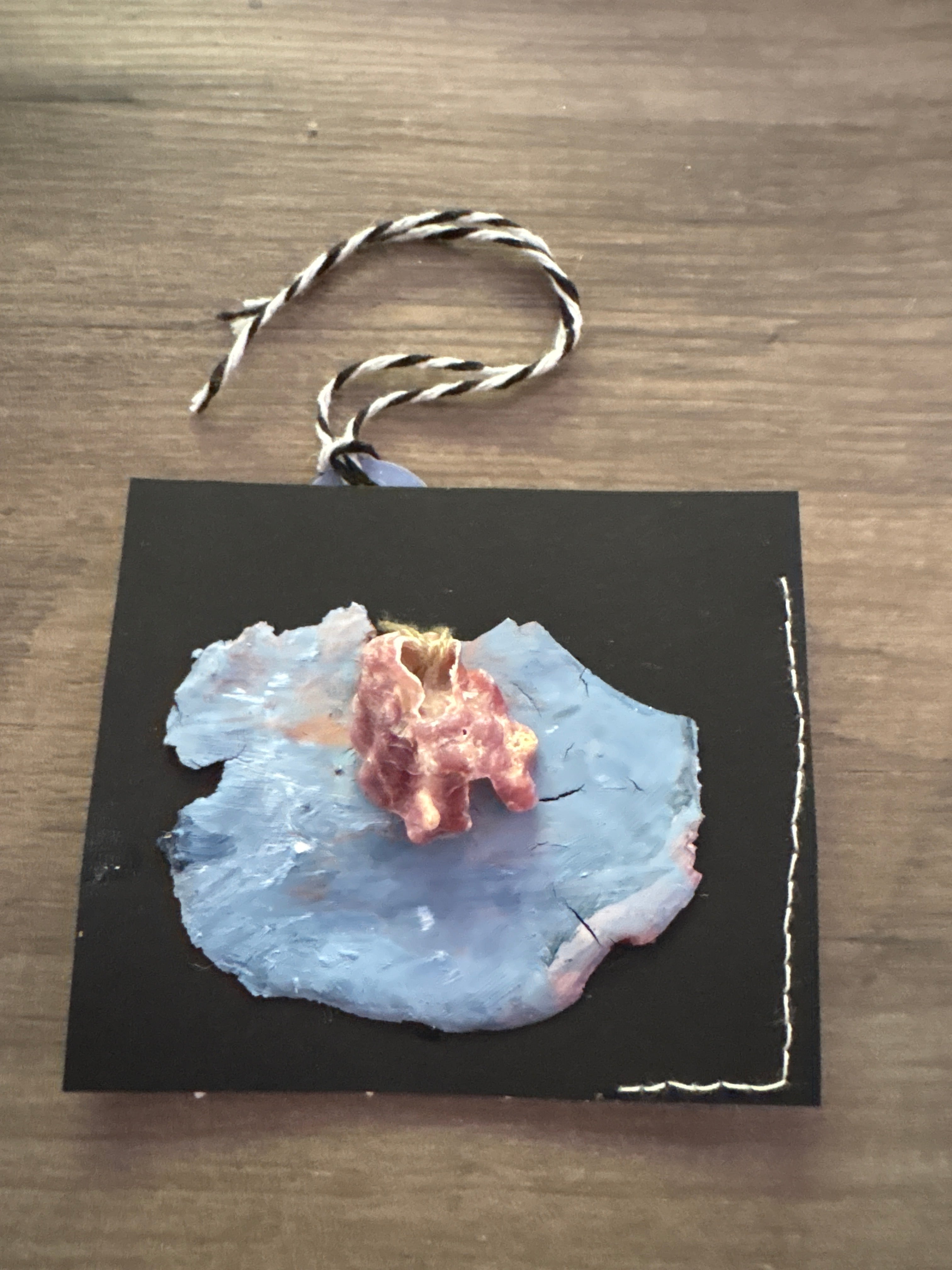 Sea Shell Tags