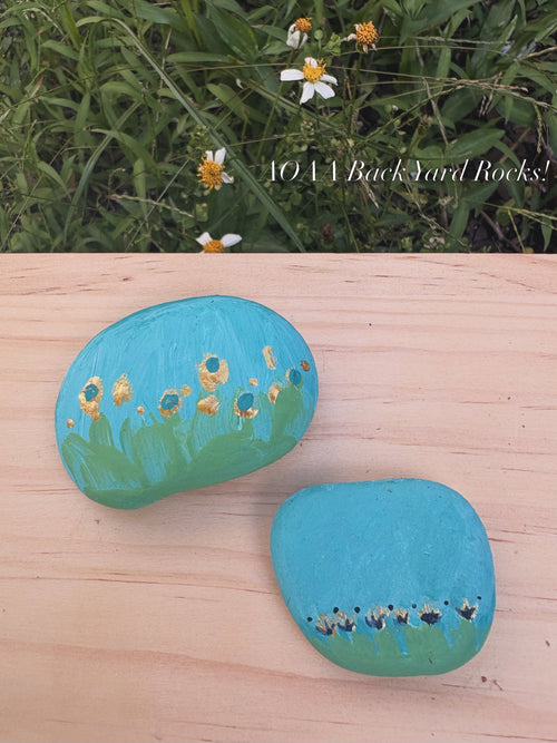 Backyard Rocks